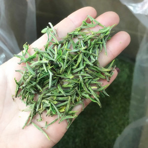 舒城小兰花茶特级