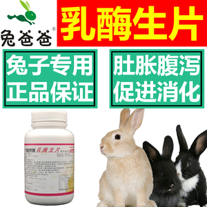 兔爸爸兔用乳酶生片大瓶1000片兔子拉肚子拉稀药软便腹泻胀气止泻