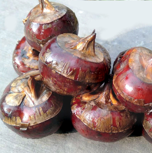 即食新鲜现挖 荸荠大果水栗整箱水果地梨 正宗荔浦马蹄甜无渣包邮