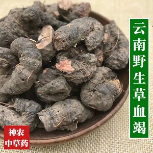云南野生中药材草血竭 老腰弓 地蜂子 一口血 拳参 500g精选特级