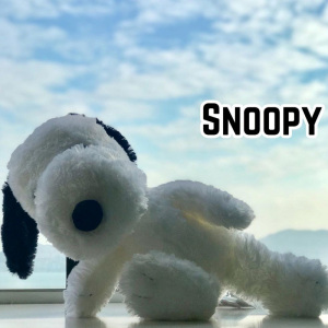 peanuts日本正品 snoopy正版 趴姿 坐姿史努比公仔毛绒 玩偶 兔耳