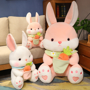 爱妮兔公仔儿童毛绒玩具布娃娃小白兔玩偶陪睡沙发摆件女生礼物