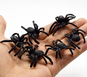 奇葩礼物假蜘蛛整蛊玩具五毒吓人PVC仿真吓蜘蛛昆虫动物模型玩具