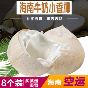 海南三亚牛奶椰子椰皇新鲜香水椰青老椰王8个装送吸管煲汤空运