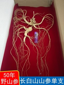 50年三宝单支年东北野上等长白山老山参吉林人参礼品包邮真品推荐