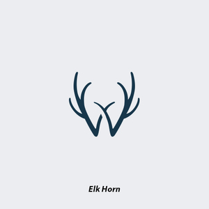 neuf弗 创意防水纹身贴《麋鹿之森》经典黑白鹿角