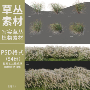 超写实植物素材psd源文件三维草丛灌木芦苇湿地拼贴效果图ps素材