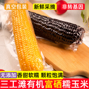 新疆三工滩有机三色玉米新鲜富硒香甜糯玉米即食非转基因真空玉米