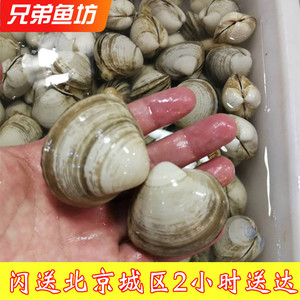 500g北京闪送鲜活白蛤海鲜水产贝类蛤蜊青蛤花蛤大个白蚬子
