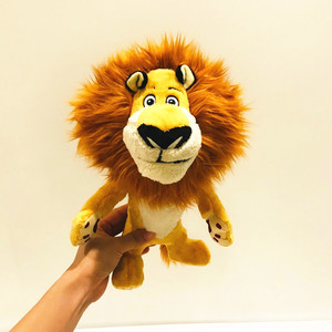 马达加斯加狮子