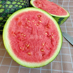 海南麒麟瓜