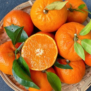 无核沃柑 3斤 新鲜水果橘子桔子 广西武鸣特产 无籽更方便食用