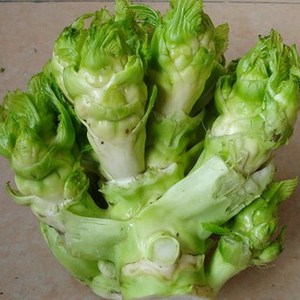 四川特产新鲜儿菜抱子菜农家自种麻辣大头菜菱角菜5斤装包邮