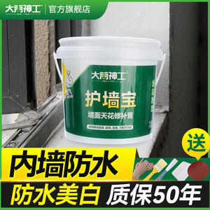 内墙防水防霉涂料室内防潮墙体渗水卫生间修补材料补漏墙面防水胶