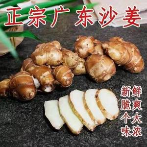 广东沙姜新鲜包邮正宗现挖沙姜老姜土特产食用椰子鸡蘸料调料种子
