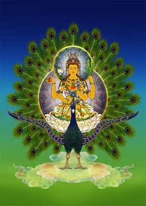 佛教画像南大孔雀佛母画像照片过塑孔雀母像佛菩萨像照片金属板画