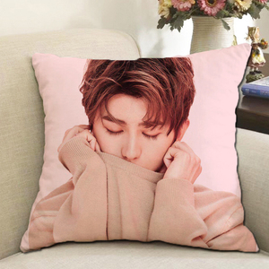 500人付款淘宝蔡徐坤抱枕