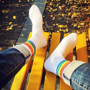 男士纯棉条纹彩虹中长筒毛巾底袜子运动冬季防臭吸汗加厚白袜gay