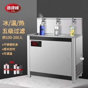 德律峰15年专于工厂学校医院直饮水机冷热餐厅工业工地商用开水器