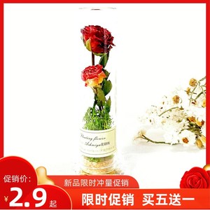 玫瑰干花玻璃试管许愿瓶天然植物标本送女友摆件永生花束生日礼物