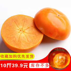 山西柿子新鲜脆皮柿脆甜柿子10斤脆柿硬柿子当季水果脆柿子