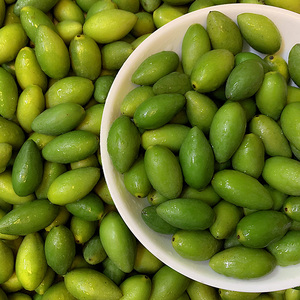 甘榄果新鲜橄榄现发1斤现货青翠好吃可口水果炖猪肚煲汤青橄榄果