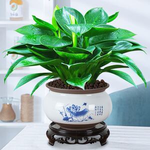 883人付款淘宝张裕黄金冰谷金钻级蓝钻级黑钻级冰甜葡萄酒烟台威维代