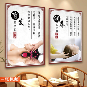 中药茶麸泰式洗头宣传海报养发护发挂画墙贴头部按摩中医馆装饰画