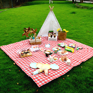春游一次性桌布野餐垫布塑料ins风户外郊游烧烤防水加厚野营台布