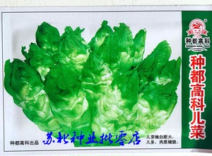 种都高科榨菜儿菜胖又多特选榨菜种孑脆又多儿芽多四季蔬菜种籽