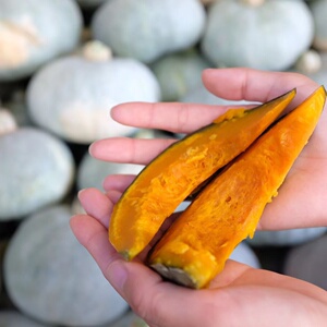 新疆板栗南瓜5-6斤一箱栗香南瓜婴儿辅食非贝贝南瓜新鲜蔬菜直发