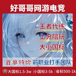【工作室代打】王者荣耀代练排位战力巅峰赛大小国标省标小魔方瓜