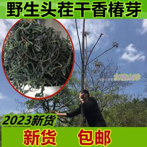 新货 干香椿芽  头茬 香椿干 500G包邮