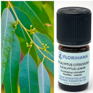 每199-20柠檬桉 柠檬尤加利 huahuaflorial florihana 精油5g