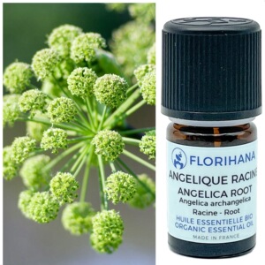 2g 欧白芷根精油 huahuaflorial florihana 法国 馥家