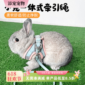 兔子外出牵引绳溜兔子可调节防挣脱带反光条专用防咬可爱风溜兔绳
