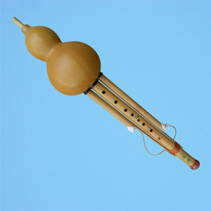 九孔c调葫芦丝降b调乐器初学生专业演奏成人儿童金丝楠竹dfg调