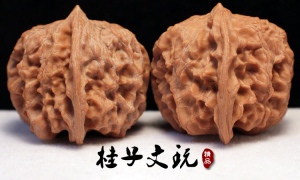 蓟县马蹄狮子头