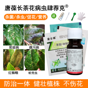 茶花病虫害防治包花药茶梅杀虫杀菌杀蚜虫蚧壳虫山茶炭疽叶斑黄叶