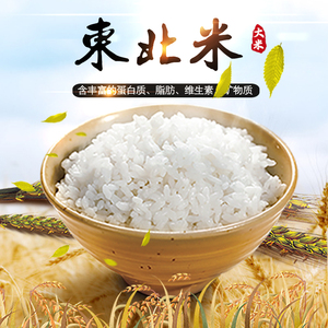 黑龙江省查哈阳原产地东北大米10斤寒地厂家直发颗粒饱满