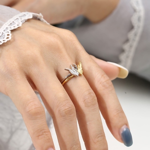 金兔银龙戒指二次元假面骑士build银开口戒指子基兔同龙情侣指环