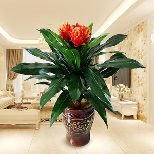 鸿运当头假花仿真