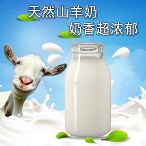 新鲜羊奶订购
