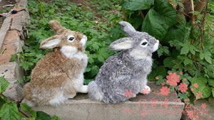 仿真兔子毛绒玩具玩偶动物模型摆件儿童生日礼物女可爱小兔子真毛