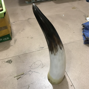 30-50厘米天然非洲黄牛角材料 超大号站立牛角筒 收藏摆件 拔火罐