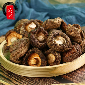 江西特产煲汤食材无硫蘑菇肉厚剪脚椴木小香菇干货食用菌菇新鲜