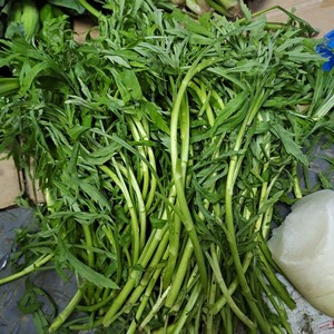 新鲜泥蒿带叶子 自已去叶子去根5斤