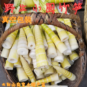 野生圆竹笋安徽大别山露天春笋雷笋圆尖笋焯水嫩笋下单现采500g