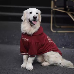 大型犬衣服秋冬金毛加绒卫衣杜宾拉布拉多边牧大狗狗服装宠物服饰