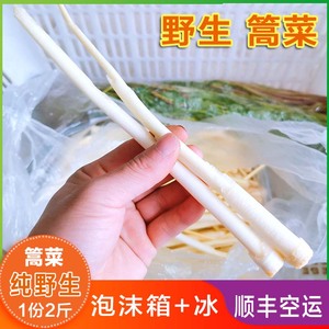 新鲜野生篙菜2斤顺丰空运时令蔬菜湖北特产洪湖 野茭白芦篙菜蒲菜